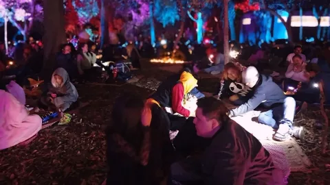 Picnic Nocturno 2025