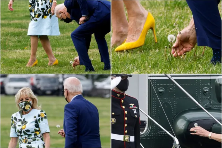 joe biden diente leon jill