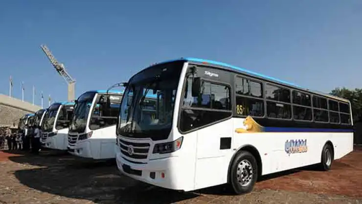 PUMABUS