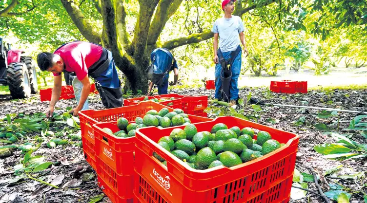 Estatus del ámbito agropecuario.