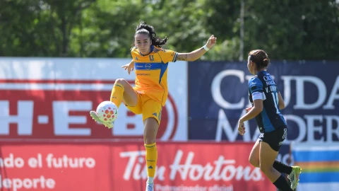 Diana Ordoñez con Tigres