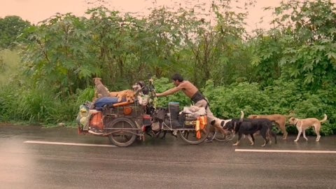 Hombre con perros rescatados.jpg