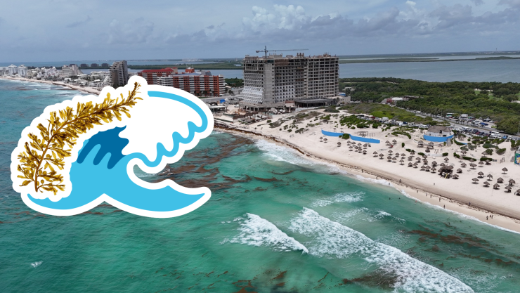 Playas libres de sargazo en Quintana Roo HOY 27 de junio de 2025_ Lista desde Holbox, Cancún y hasta Tulum.jpg