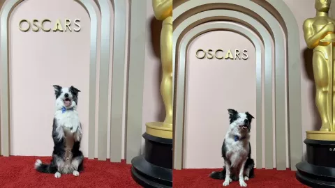 Messi deslumbró en los Premios Oscar 2024