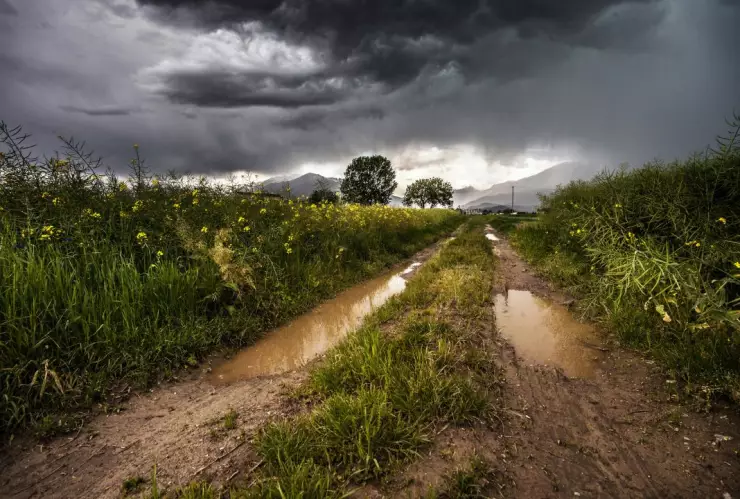 Esta es la trayectoria de la primera onda tropical en México