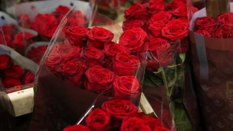 San Valentín: Este es el costo promedio de las rosas para el 14 de febrero de 2025.