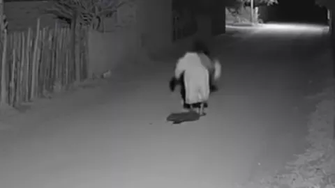 SORPRENDENTE video muestra a una mujer convertirse en guajolote