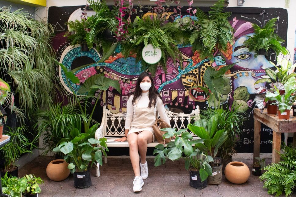 Plant Fest