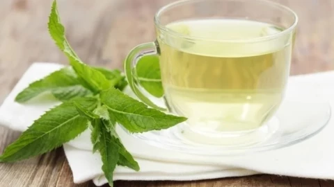 En México es normal el consumo de té de epazote