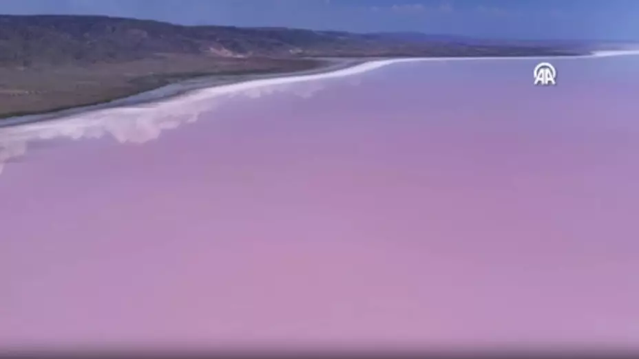 ¿Por qué el lago Salado de Turquía se tiñe de rosa? El fenómeno que asombra al mundo