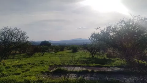 Amanecer en Querétaro.jpg