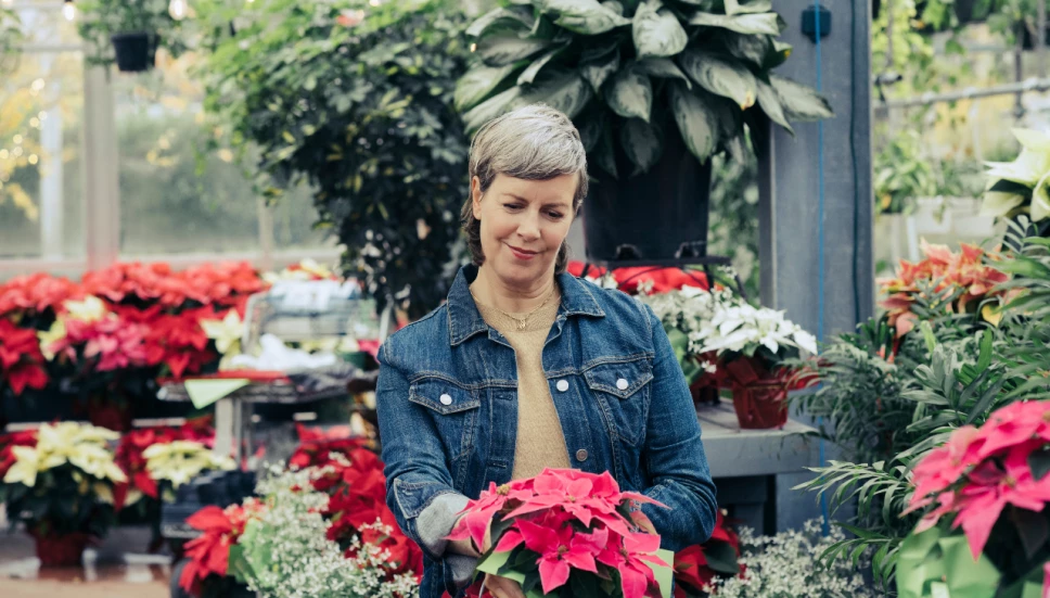 Festival de la Flor de Nochebuena 2024 CDMX