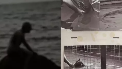 sirenas de Cantinflas