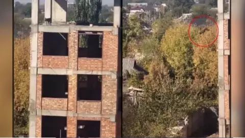 VIDEO_ ¡eL PERRO VOLADOR! Lomito se avienta del quinto piso y así cayó.jpg