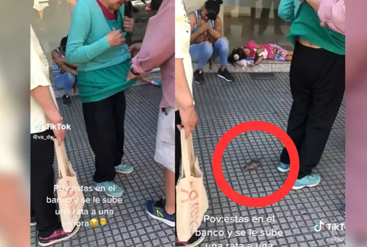 Ratón se le mete a mujer en la fila del banco