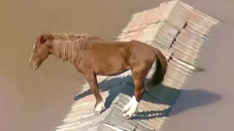 Caballo queda atrapado en techo tras inundaciones en Brasil; aquí el desesperante video.jpg