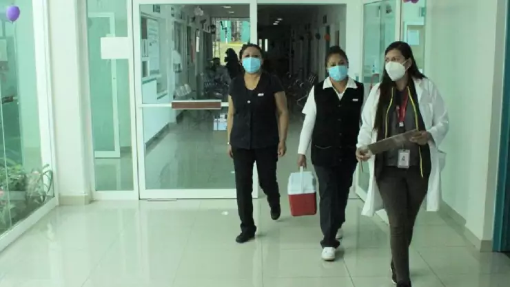 Estos son los síntomas de la variante de COVID-19 Pirola