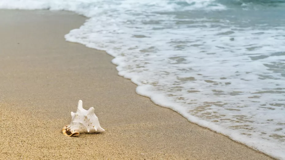 El día más frío del año para Puerto Vallarta, Jalisco