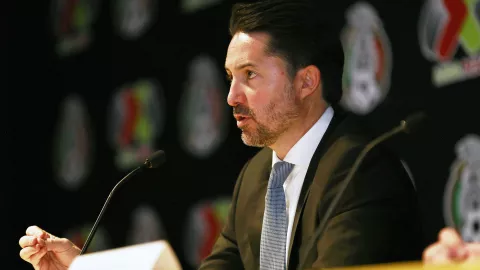 Yon de Luisa, Presidente de la FMF