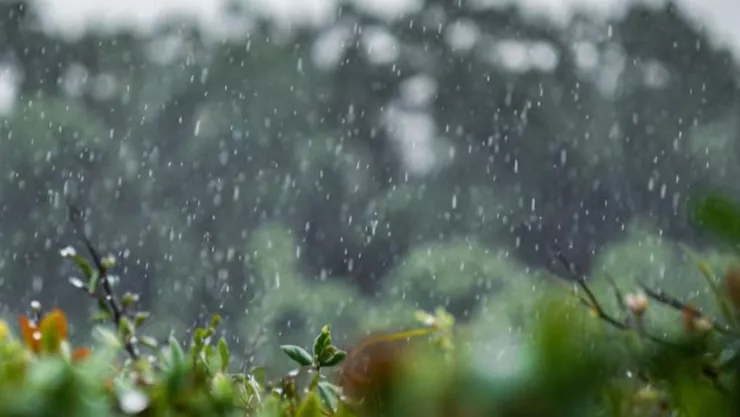 ¡Agarra el paraguas, vienen LLUVIAS FUERTES! Así el pronóstico del clima en Michoacán por municipios hoy domingo 7 de diciembre.jpg