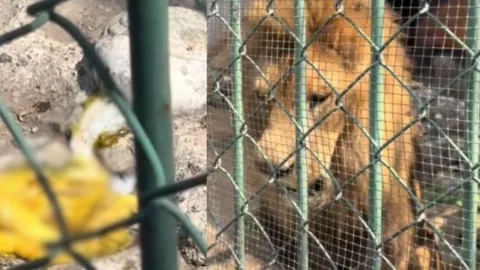 1280 x 720 px - 2026-03-13T200959.855.jpg