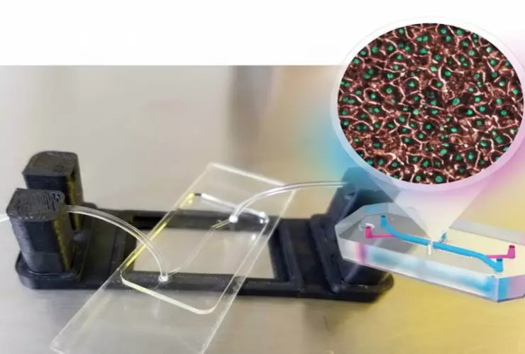 Biotecnología de la UNAM