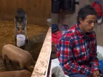 La Granja VIP