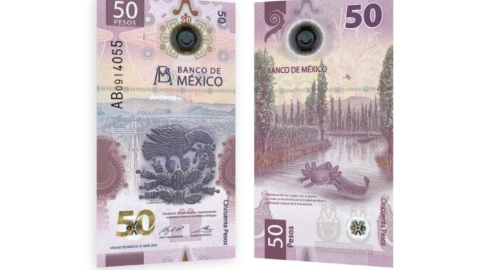 billete-50-pesos-circulación-banxico