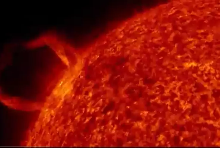 WhatsApp Image 2020-09-16 at 15.55.33.jpeg