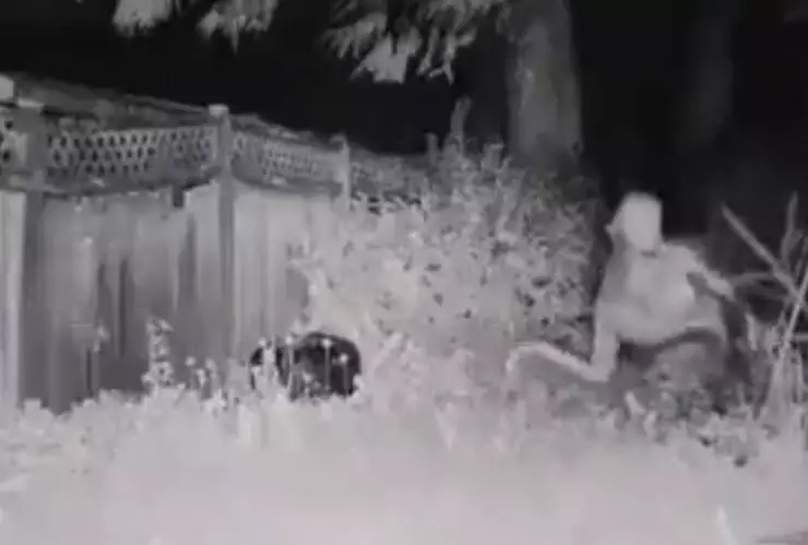 Extraterrestre Las Vegas.jpg