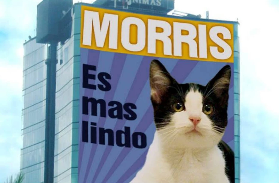 El candigato Morris cuenta con más de 6,000 likes en su página oficial de Facebook