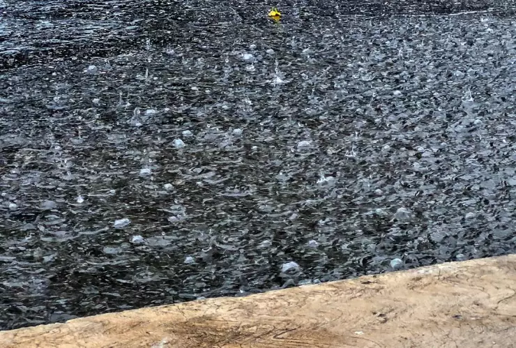 Zona de baja presión dejará FUERTES LLUVIAS para el clima hoy en Yucatán viernes 21 de junio