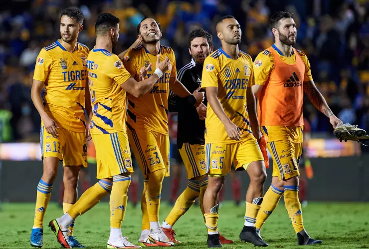 Igor Lichnovsky refuerzo Tigres