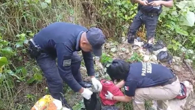 Bebé abandonada Puebla