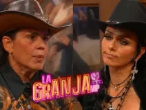 ¿Dejaron fuera a Niurka? Surge un nuevo equipo en La Granja VIP y ya piden apoyo para las “MermeLadys”