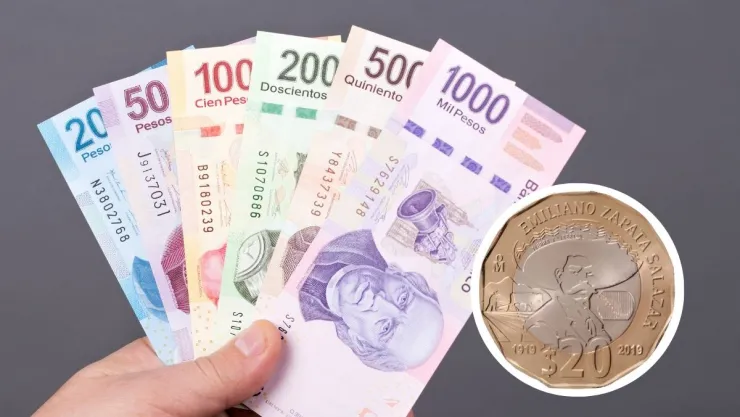 Así puedes conservar en buena forma las monedas conmemorativas de 20 pesos