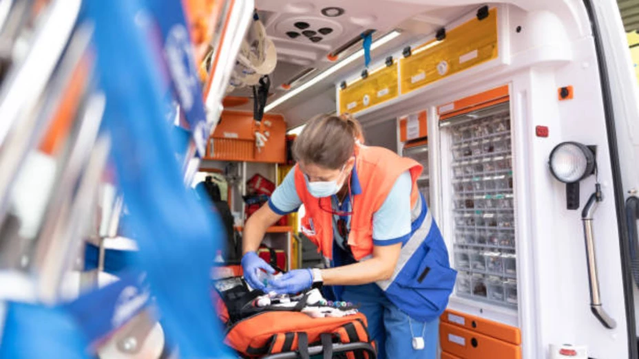 Lagartos monitores metiéndose a tubo de drenaje en Bangkok video viral (1).png