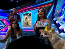 Al Extremo: Programa completo del 9 de octubre del 2026