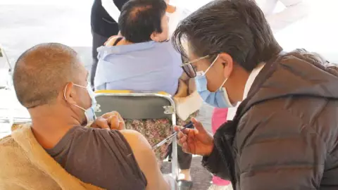 Este es el origen del nombre de la variante Pirola de COVID-19