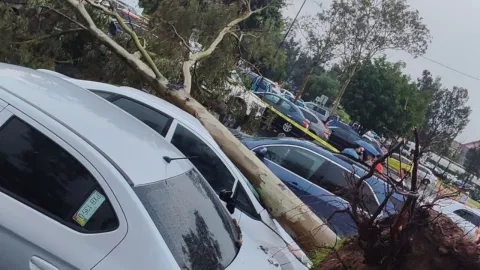 FES_Aragón_Edomex_mexico_2024