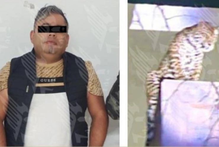 Operativo por presencia de jaguar termina en balacera en Puebla