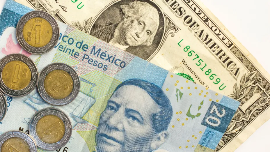 Billetes y monedas1.jpg