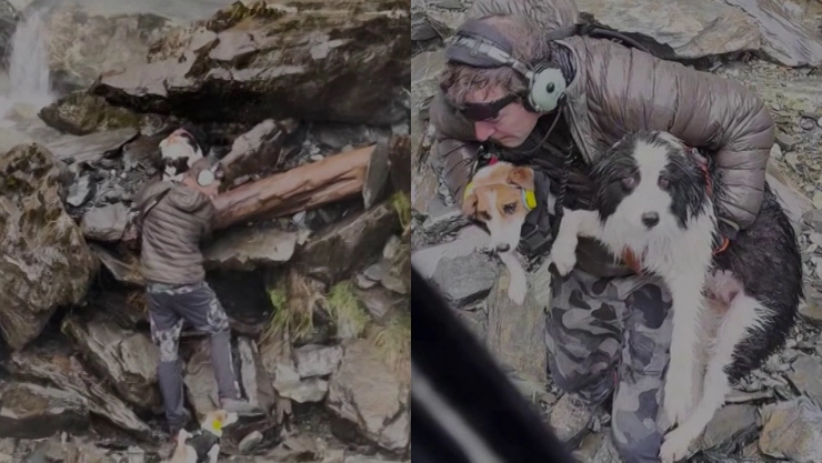 Capturas de pantalla del video del rescate de un perro border collie en Nueva Zelanda.