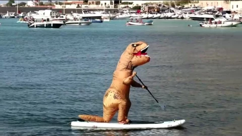 WhatsApp Image 2020-08-01 at 19.54.14 (1).jpeg