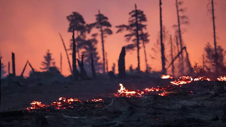 ALEMANIA INCENDIOS FORESTALES