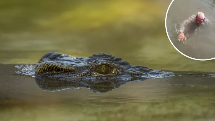 Abuelito desaparece de SLP.jpg