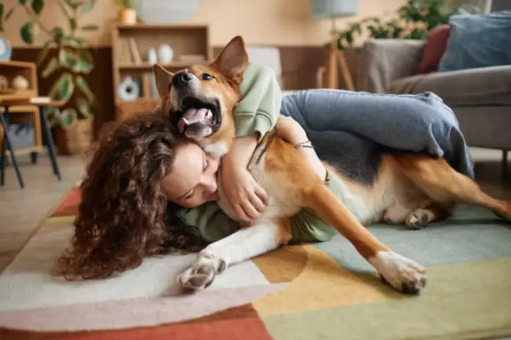 ¿qué significa para la psicología acariciar a los perros?