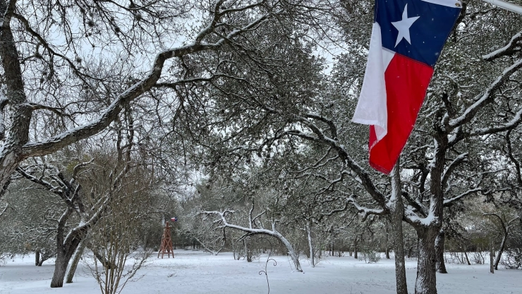 Bosque de nieve en Texas.