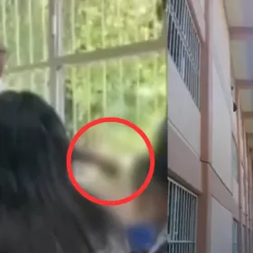 Investigan a profesor acusado de arrojar a un gatito desde un tercer piso en la UAEM