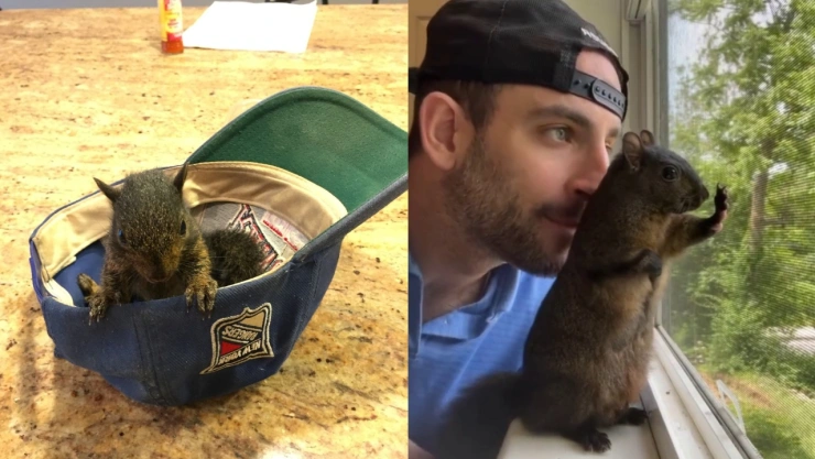 peanut-the-squirrel-fred-the-racoon-rabia-pruebas